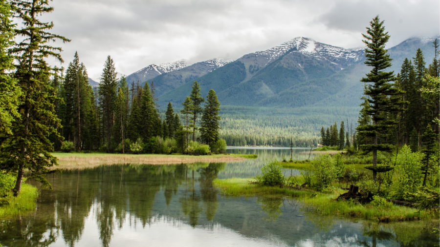 The Religion of Ibrahim (AS) – A Quran Perspective